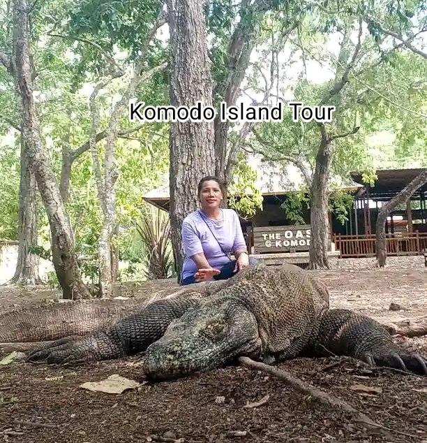 Komodo-Flores Tours