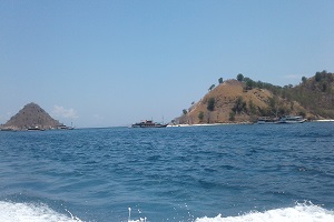 6Day Komodo cruise-Flores tour